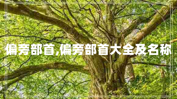偏旁部首,偏旁部首大全及名稱(chēng)