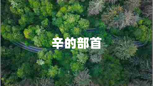 辛的部首