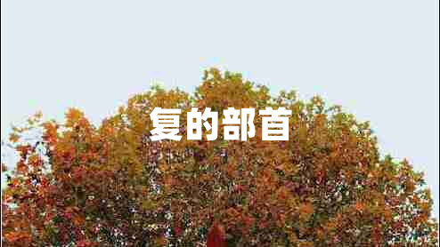 復的部首