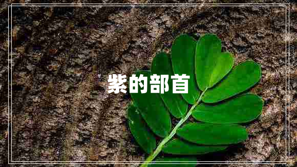 紫的部首