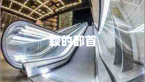 顆的部首