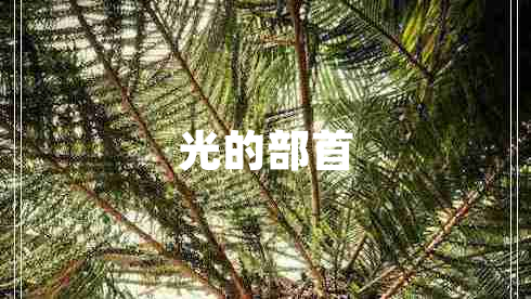 光的部首