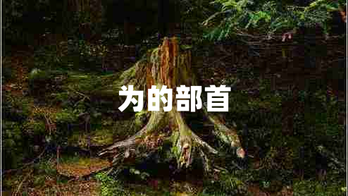 為的部首