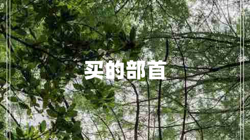 買(mǎi)的部首