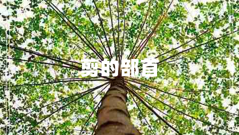 剪的部首