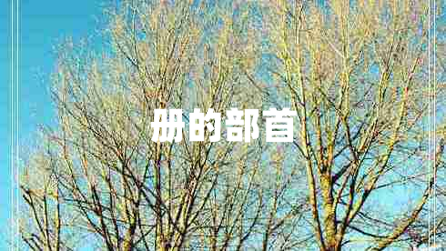 冊的部首