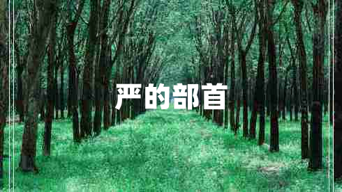 嚴(yán)的部首