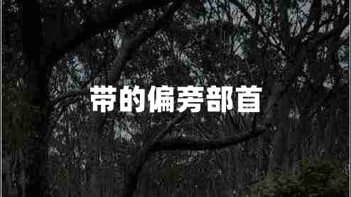 帶的偏旁部首