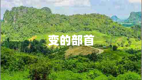 變的部首