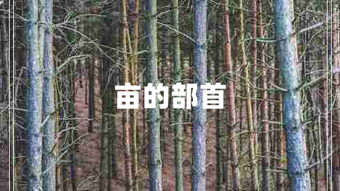 畝的部首