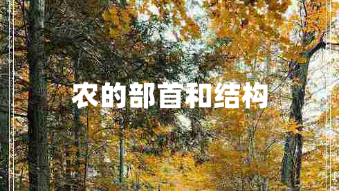 農的部首和結構