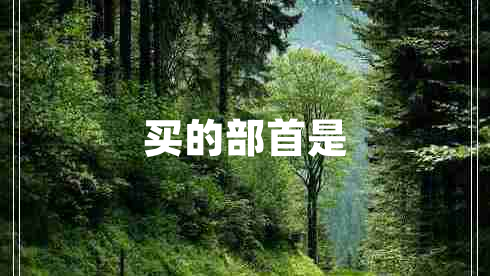 買(mǎi)的部首是