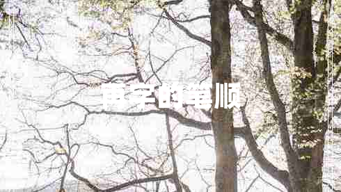 再字的筆順
