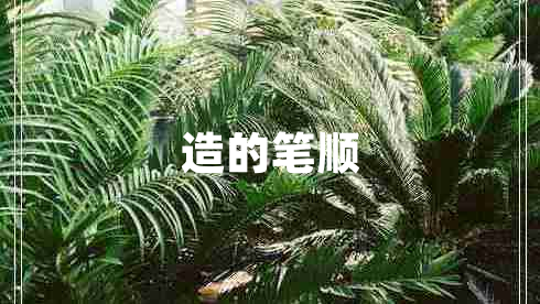 造的筆順