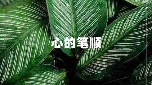 心的筆順