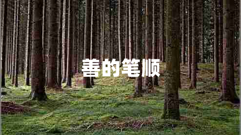 善的筆順