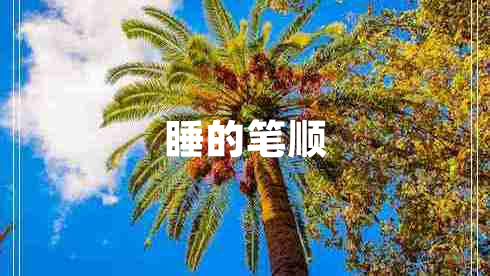 睡的筆順