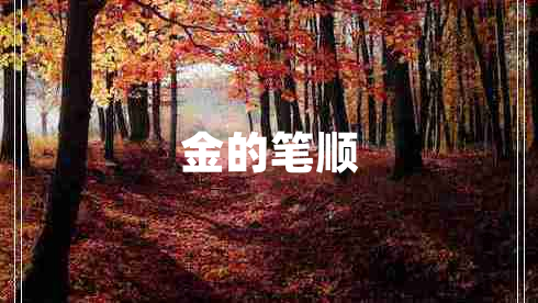 金的筆順