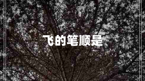 飛的筆順是