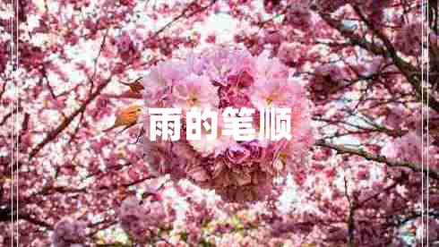 雨的筆順