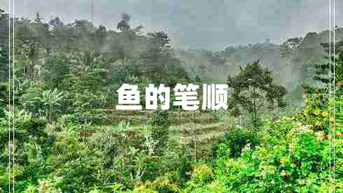魚(yú)的筆順