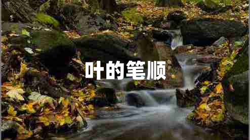 葉的筆順