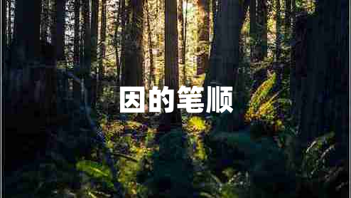因的筆順