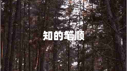 知的筆順