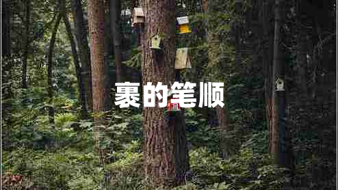 裹的筆順