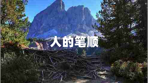 人的筆順