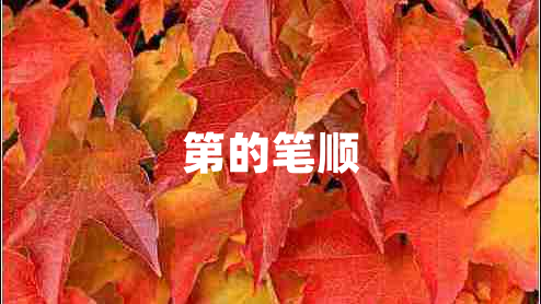 第的筆順