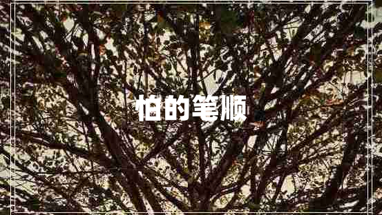 怕的筆順