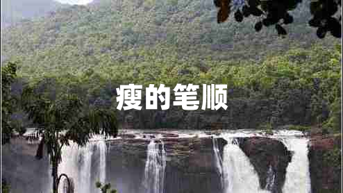 瘦的筆順