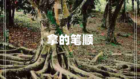 拿的筆順