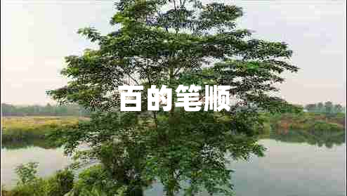百的筆順