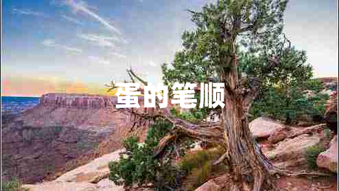 蛋的筆順
