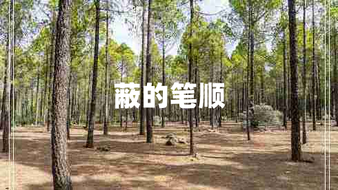 蔽的筆順