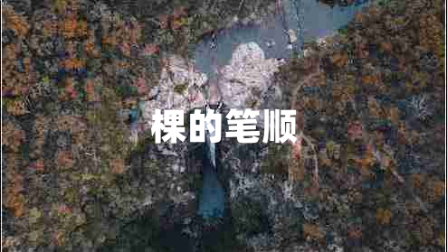 棵的筆順