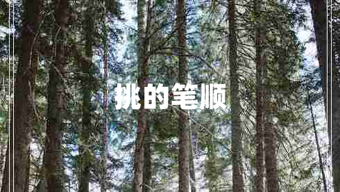 挑的筆順