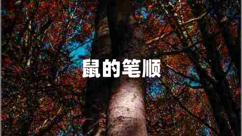 鼠的筆順