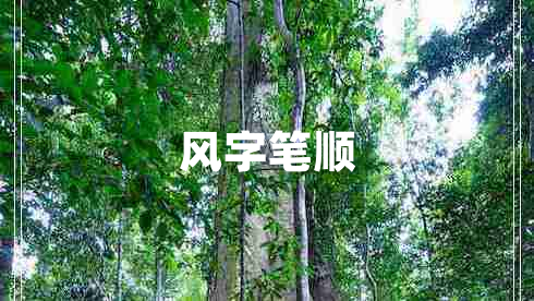 風(fēng)字筆順