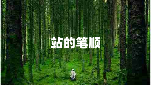 站的筆順