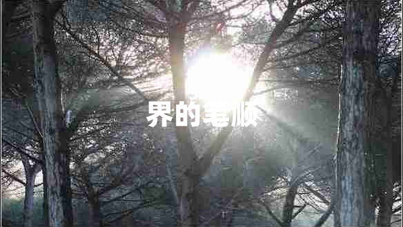 界的筆順