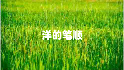 洋的筆順