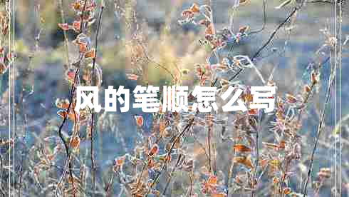 風(fēng)的筆順怎么寫(xiě)