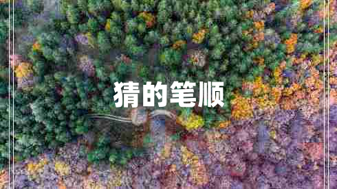 猜的筆順