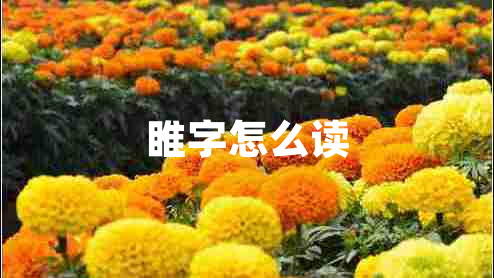 睢字怎么讀