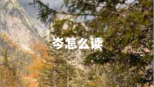 岑怎么讀