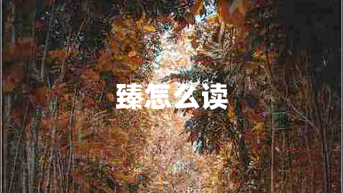 臻怎么讀