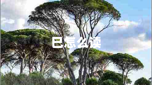 巳怎么讀